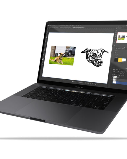 Vectorization/Graphic Cleanup