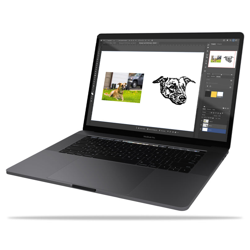 Vectorization/Graphic Cleanup